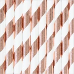 zoom_paski-rosegold.webp